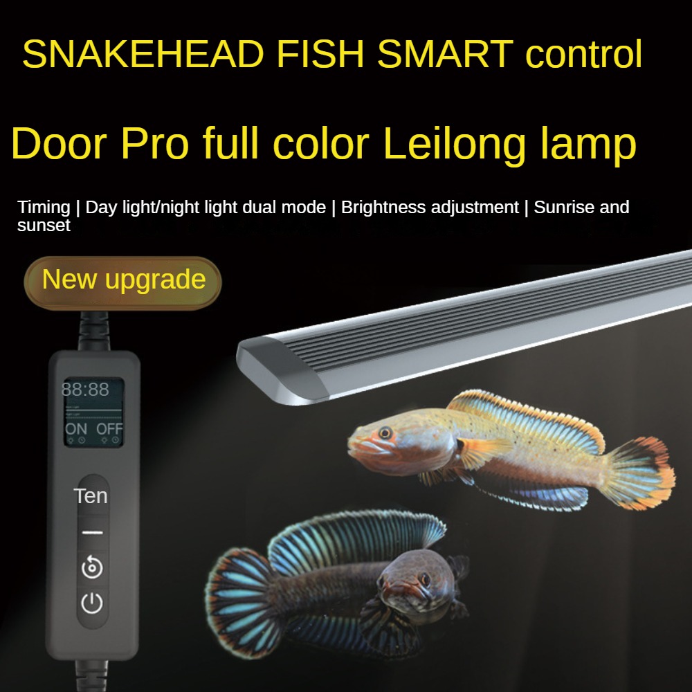 Planted Aquarium Freshwater - LED Akvaryum Işığı, Arowana Balık Tankı,