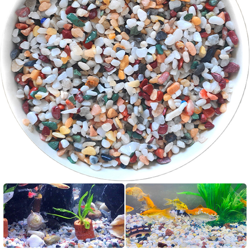 Planted Aquarium With Sand - Doğal Çakıl Taşı 200 ~ 1000g