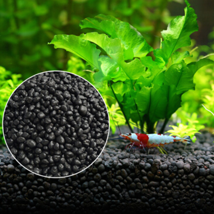 Planted Aquarium Freshwater - Akvaryum bitki tohumları toprak balık tankı