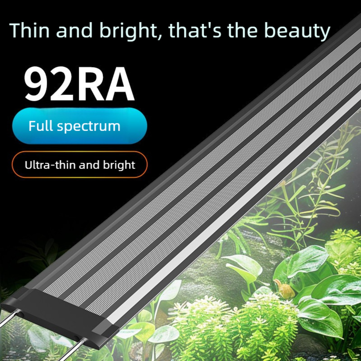 Planted Aquarium Freshwater - 12 İnçten 60 İnç'e Kadar Tatlı