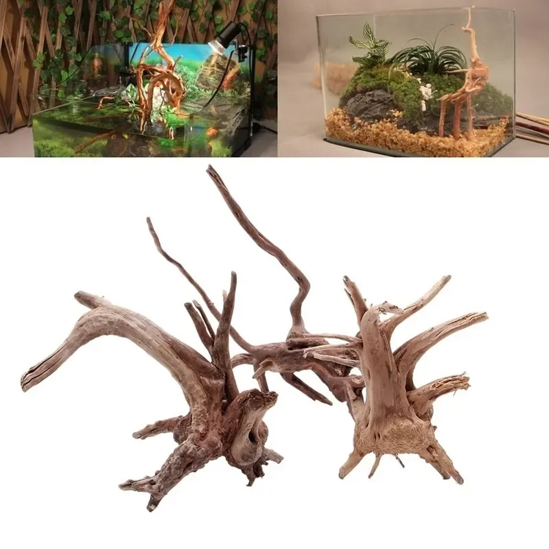 Doğal ağaç gövdesi Driftwood a - Aquarium Plant Live incelemesi ve fiyatı
