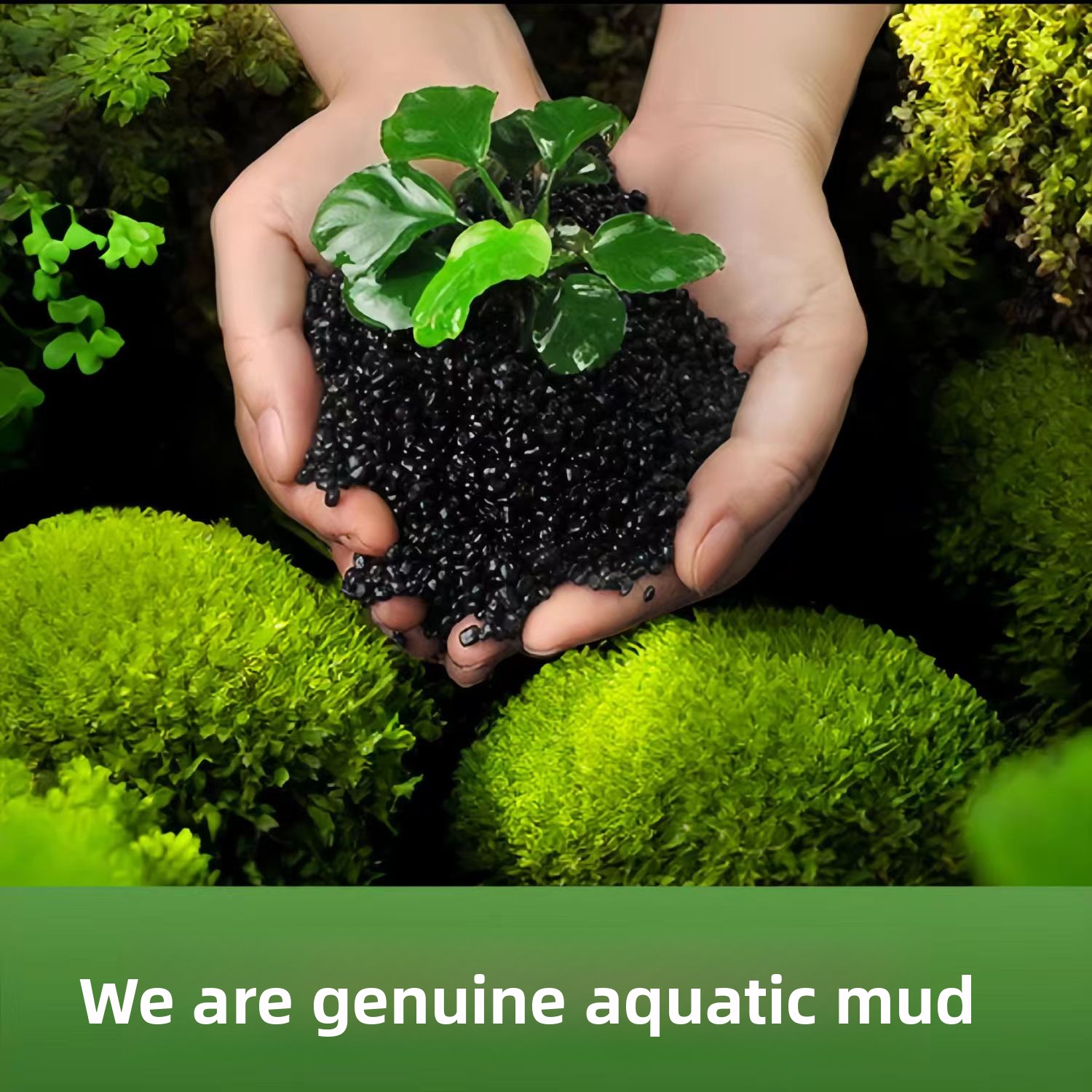 Seramik Olmayan, Su Bitkileri  - Planted Aquarium With Sand incelemesi ve fiyatı