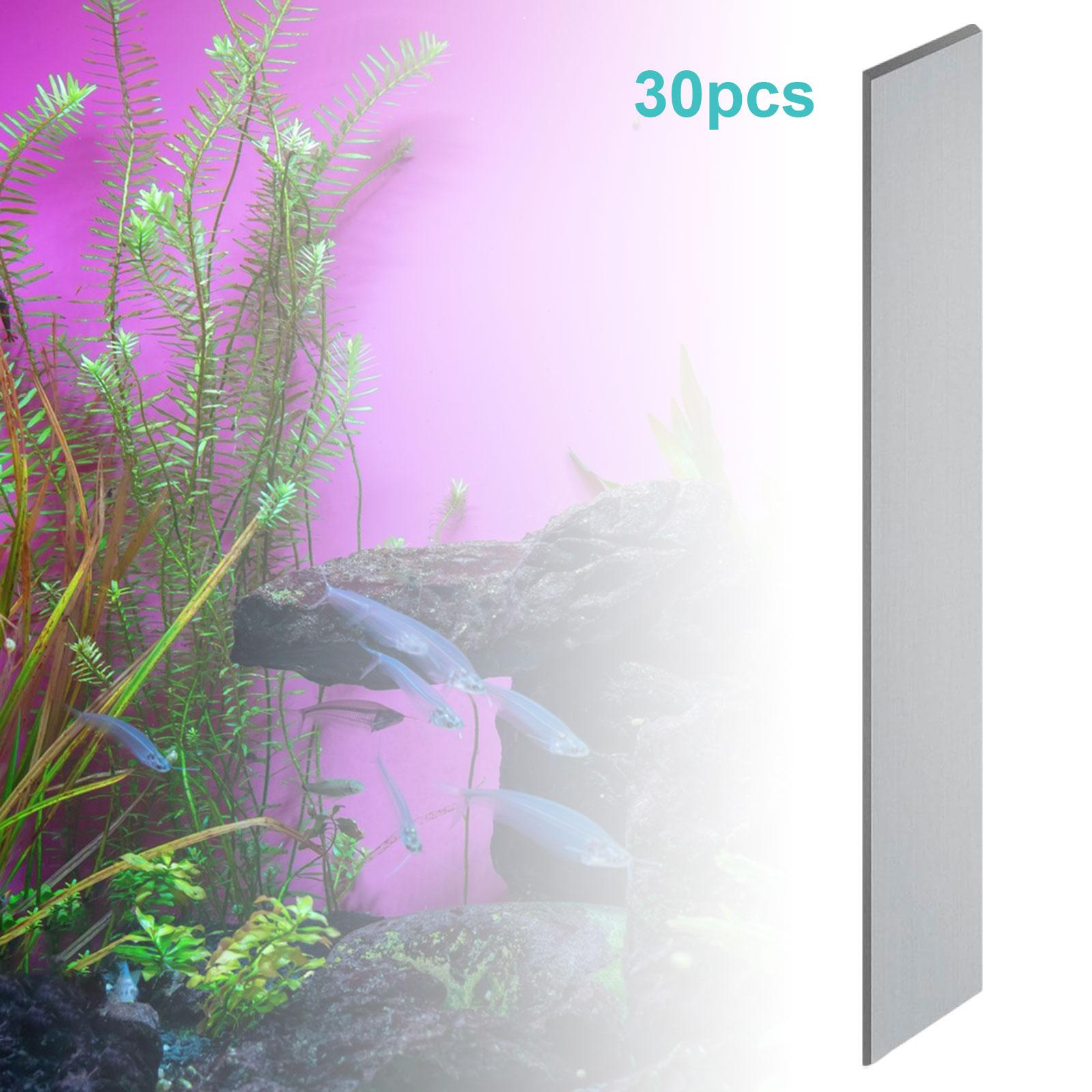 Tatlı Su ve Tuzlu Su Akvaryuml - Aquarium Planted Tank Setup incelemesi ve fiyatı