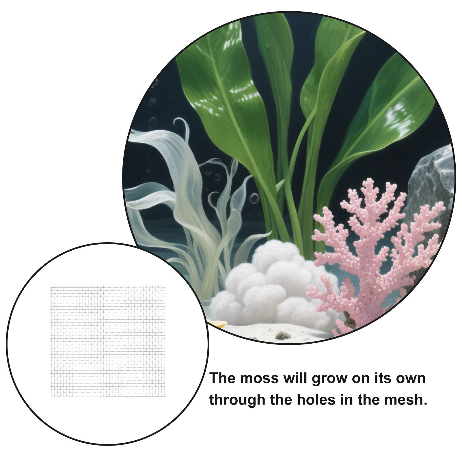 12 Adet Paslanmaz Çelik Tel Ör - Aquarium Planted Tank Setup incelemesi ve fiyatı