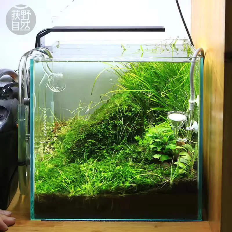 Spirürler C Serisi ADA Tarzı B - Planted Aquarium Ada incelemesi ve fiyatı