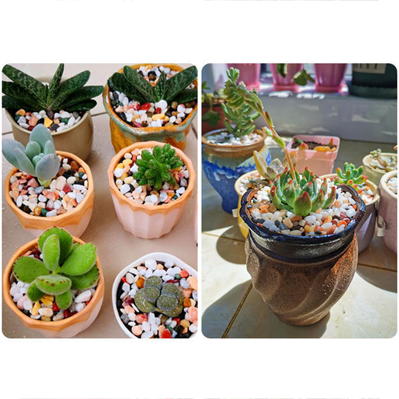 Balık Tankı Alt Kum DIY Aksesu - Planted Aquarium With Sand incelemesi ve fiyatı