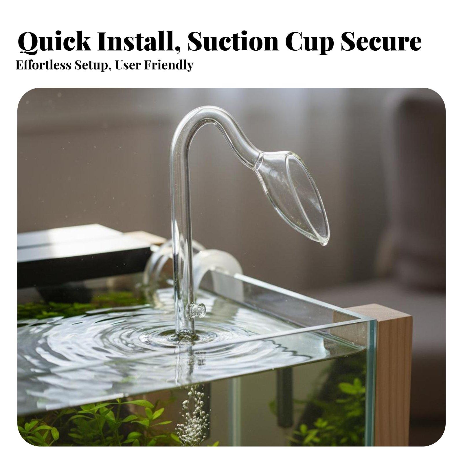 Yüksek Şeffaflığa Sahip Cam Ak - Aquarium Planted Tank Setup incelemesi ve fiyatı