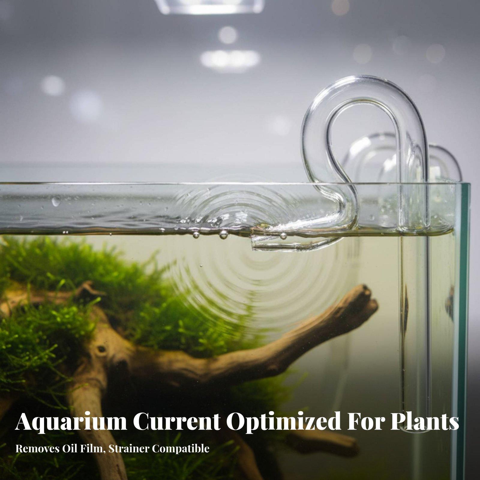 Cam Yüzeyli, 13 mm Çapında, Ak - Planted Aquarium Freshwater incelemesi ve fiyatı