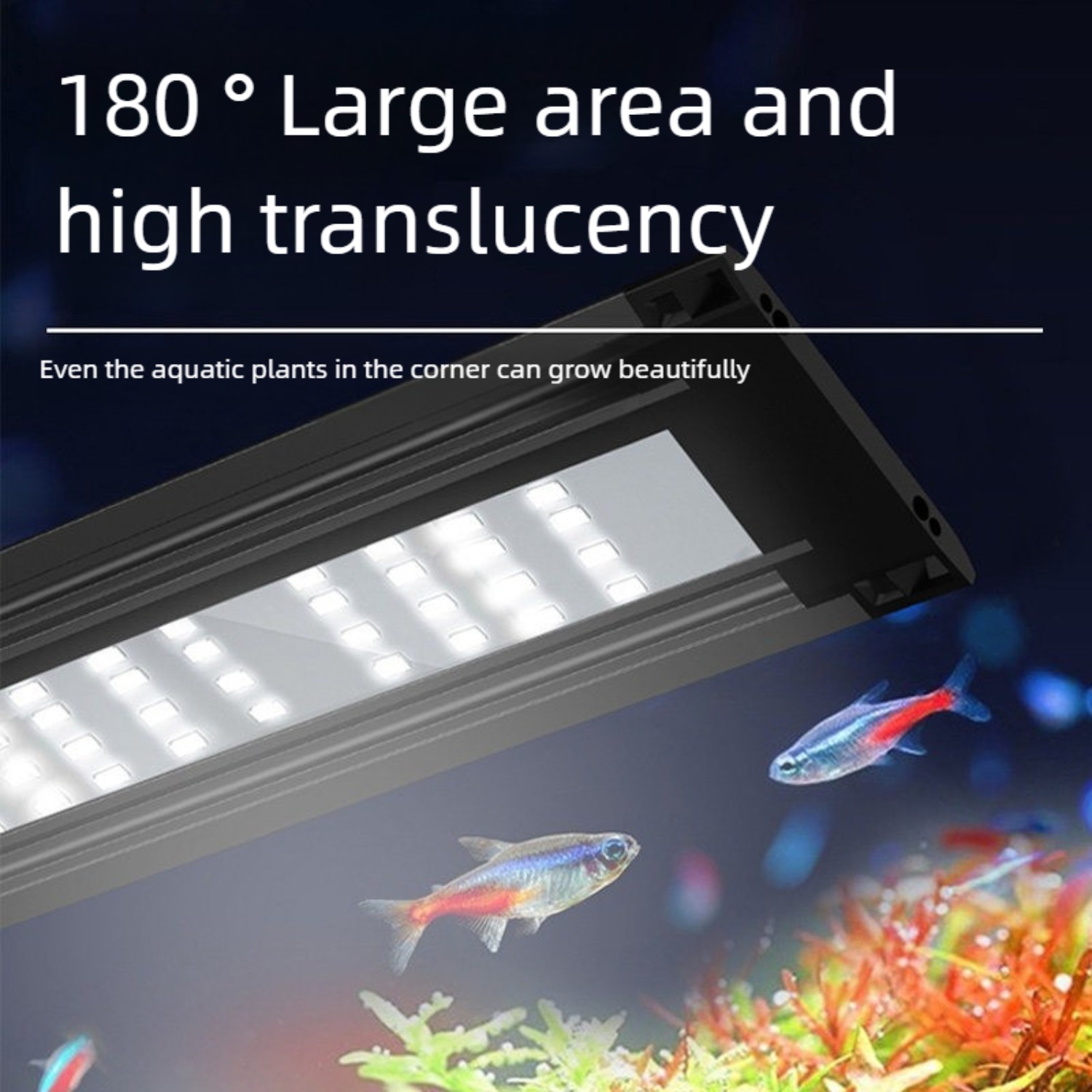 12 İnçten 60 İnç'e Kadar Tatlı - Planted Aquarium Freshwater incelemesi ve fiyatı