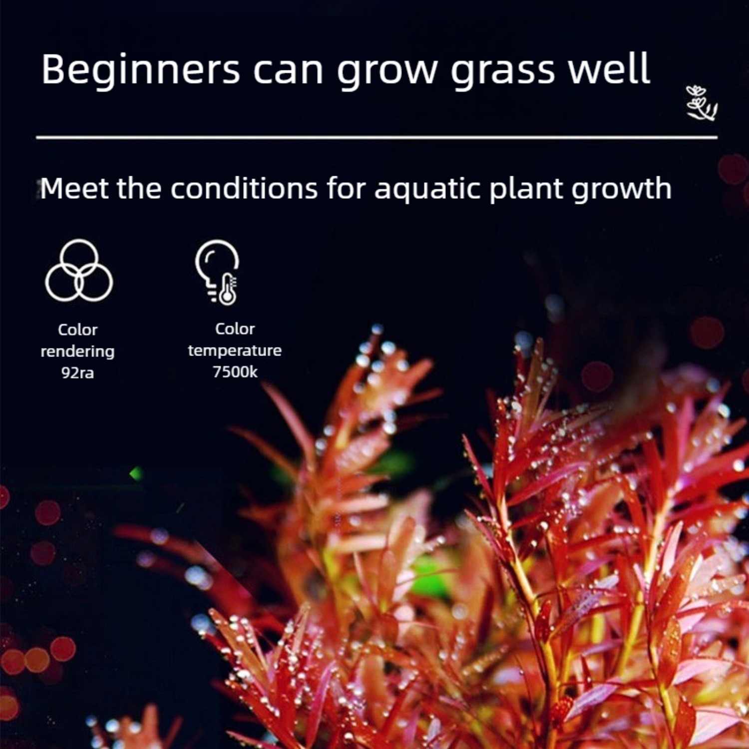12 İnçten 60 İnç'e Kadar Tatlı - Planted Aquarium Freshwater incelemesi ve fiyatı