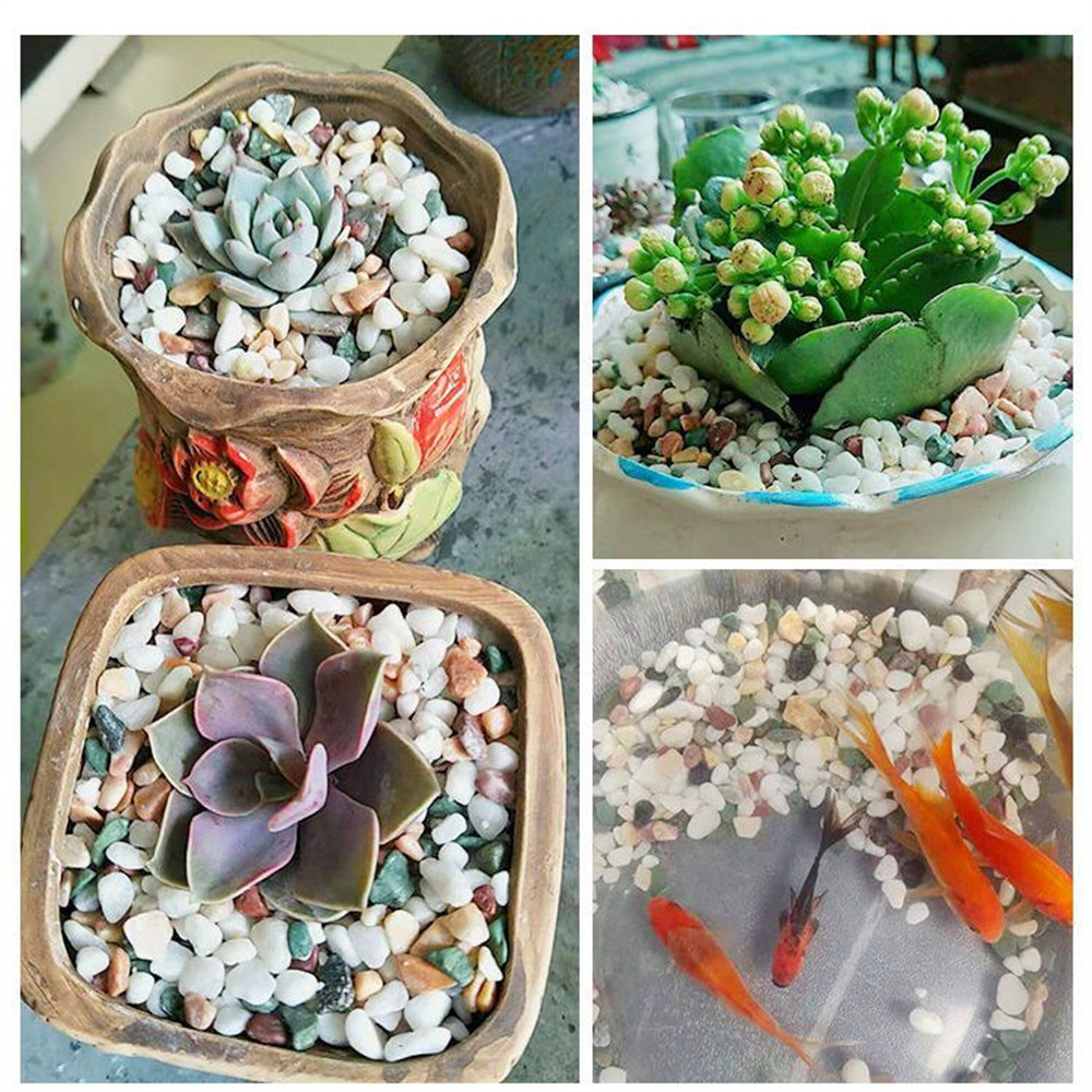 100g Doğal Kristal Çakıl Taşı  - Planted Aquarium With Sand incelemesi ve fiyatı