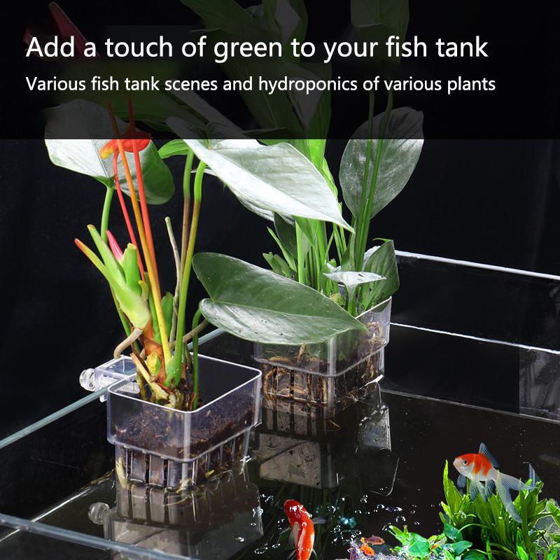 Akvaryum Hidroponik Dikim Kabı - Aquarium Planted Tank Setup incelemesi ve fiyatı